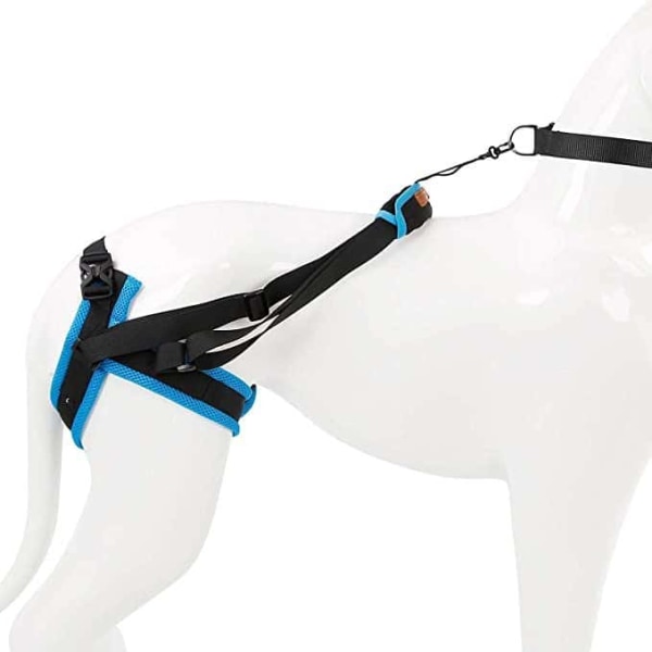 Blått hundestøttebelte (benomkrets 35-45 cm)- Et støttebelte for bakbena, hjelper til med å løfte bakbena, brukes til bakre støttebelte