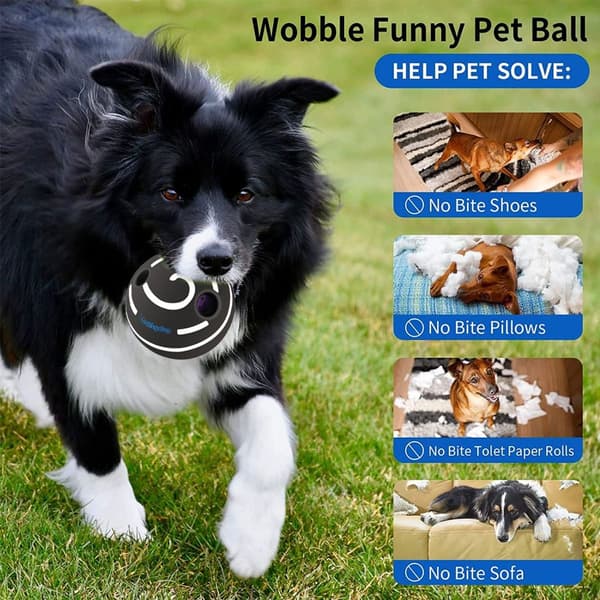 Hundleksak boll, interaktiv hundboll, stil 5 KLB