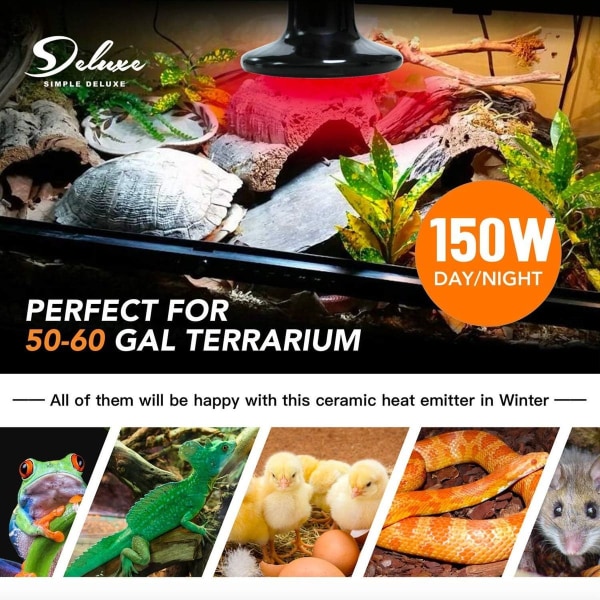 100W Reptilvärmelampa Glasbehållare Keramisk E27 Värmelampa Djur Reptil KLB