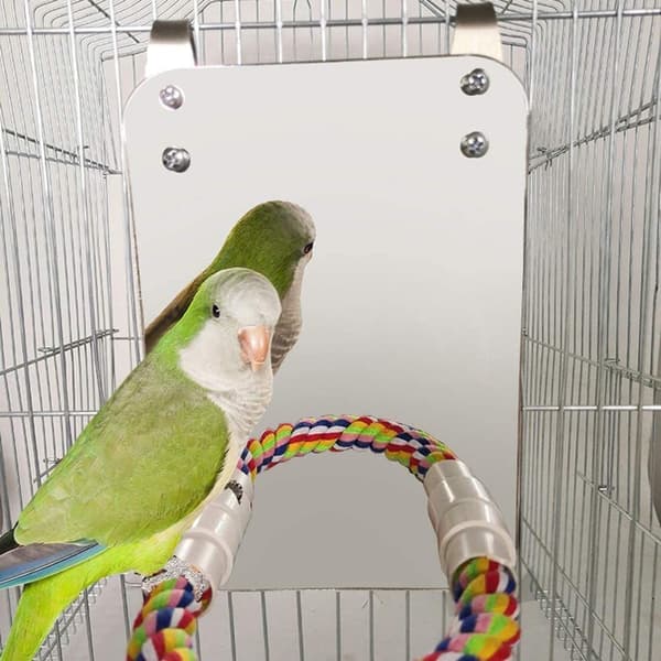 Rustfrit stålfuglestand, papegøjesvingburlegetøj fuglebomuldsrebholder til Amazon grå papegøje Conure