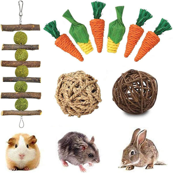 Tuggleksaker för dvärgkaniner, morotsleksaker för smådjur, marsvinsleksaker, tandvård för hamster marsvin chinchilla papegoja gerbiler råttor