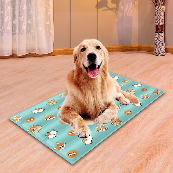 Køleunderlag til hunde og katte Gel Pad KLB