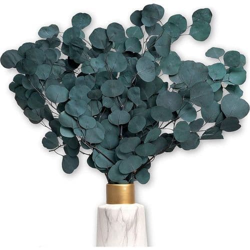 VIT LUXURY - Eucalyptus som torkade blommor EN blickfångare - varar för evigt