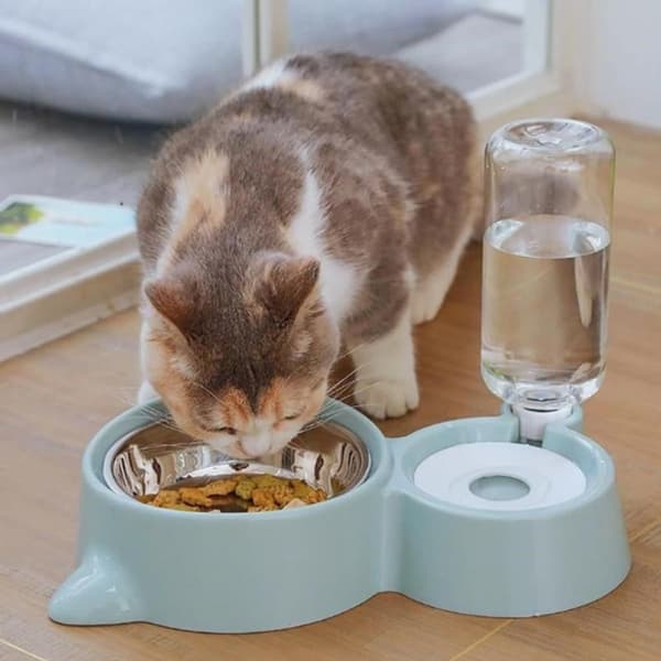 Sklisikre doble katteskåler, automatisk fôringsskål og vanndispenser KLB