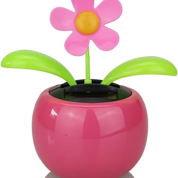 Solcellsblommiga, Solcellsblommiga, Solcellsblommiga KLB