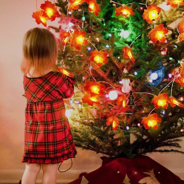 20 LED Lönnlöv ljusslinga, 3 AA batteridriven, höst jul dekor KLB