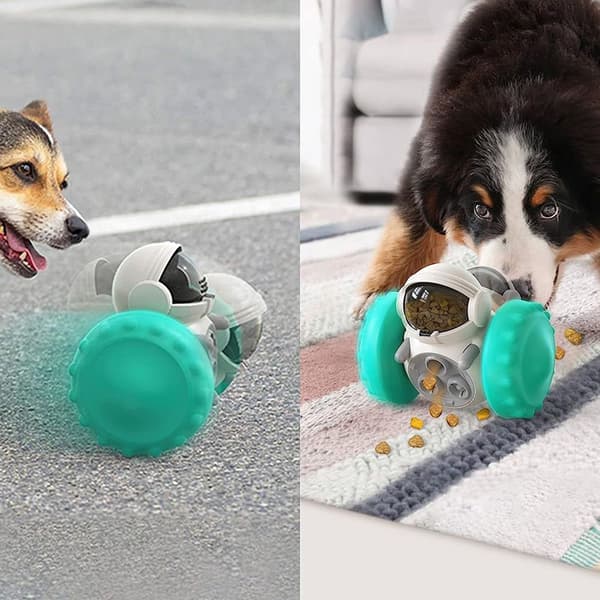 Hundespil, Interaktivt Hundespil, Intelligensspil til Hunde, KLB