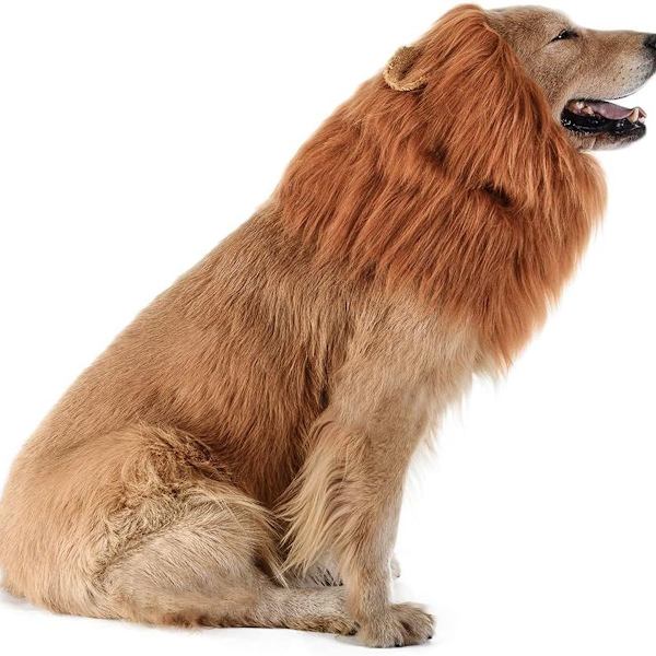 Lejonman Peruk Hundkläder Justerbara Öron Cosplay KLB