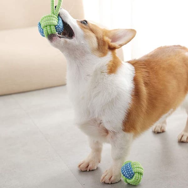 Reb Legetøj til Store Hunde, Hund Tyggelegetøj, Stil 1, 9 Stykker Sæt KLB