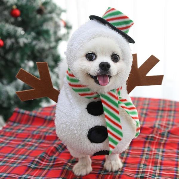 Snögubbe husdjursdräkt - Hund Katt - S (upp till 4 kg) KLB