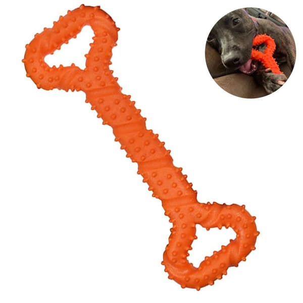 Robust hundbenformad tuggleksak med orange KLB