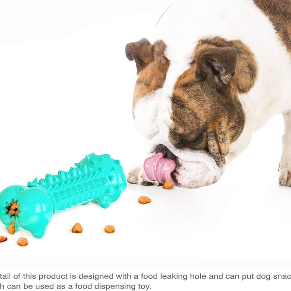 Hunde legetøj til store og små hunde Blå KLB