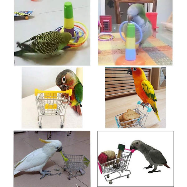 3 st papegojaleksaker Mini Shopping Cart Träningsringar Skateboard Stativ Perch för Budgie Parakeet Cockatiel Conure Lovebird