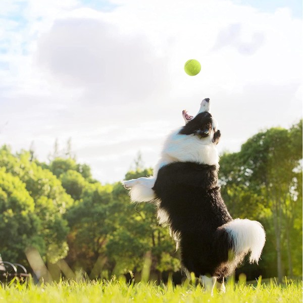 3-pack tennis cricket hundleksaksbollar - hundtennis är bra för aggressiva tuggare - hållbart och bra för sport, lektioner, träning och utskjutare