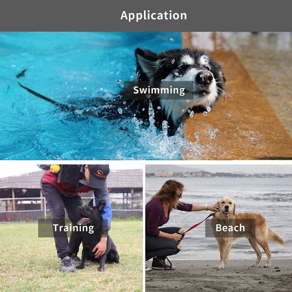 Vattentät långkoppel Slitstark hundåterkallningsträningsledning Perfekt för utomhusvandring, träning, trädgård, strand och simning (grön, 10 fot)