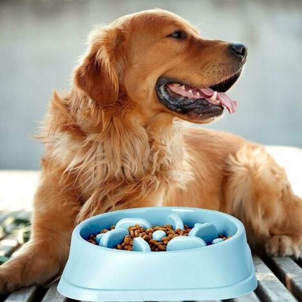 Antifrossare hundskål Långsam matningsskål med halkfri bas, förläng matningstiden för att förhindra olika sjukdomar orsakade av snabb utfodring (blå)