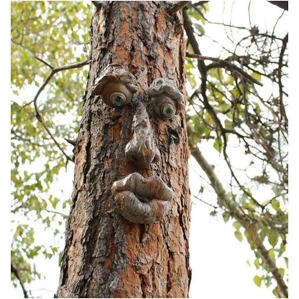 Gammel mand trækrammer, havekigger, havekunst, skulptur, ornament, udendørs skulptur, træansigt, havedekoration, (C)