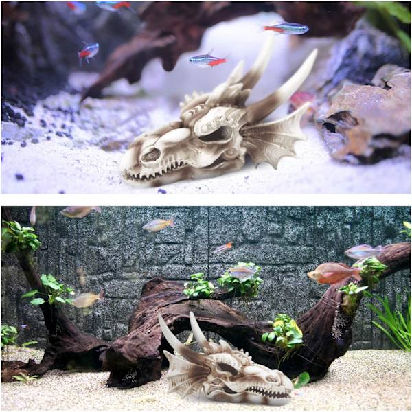 Fiske Tank Dekoration Drage Kranie - Akvarium Dekoration Resin Emulational Dinosaur, Cool Fisk Akvarium Tilbehør, Hjem Bar Dekor 5.5×3.7×4 Tommer