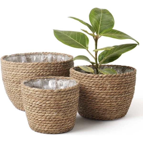 Sjögräs planterkorg inomhus, blomkrukeöverdrag, växtbehållare, naturliga (3-pack)