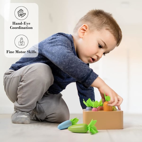 Träleksaker för baby 12 månader plus, Montessori-leksaker för toddler för 1 2 3 år gamla pojkar Flickor Pedagogiska leksaker Sensorisk sortering (flerfärgad morot)