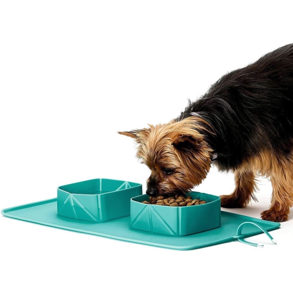Pet skål-silikon hopfällbar husdjur skål, halkfri hund och katt dubbel skål, förvaringsväska hund skål
