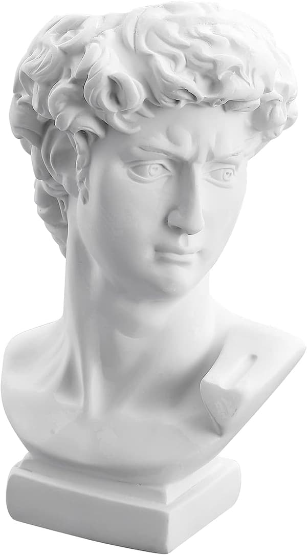 David Vase Ansigtsvase: Cabilock David Statue Blomster Vase Møbler Skulptur Børster Holder