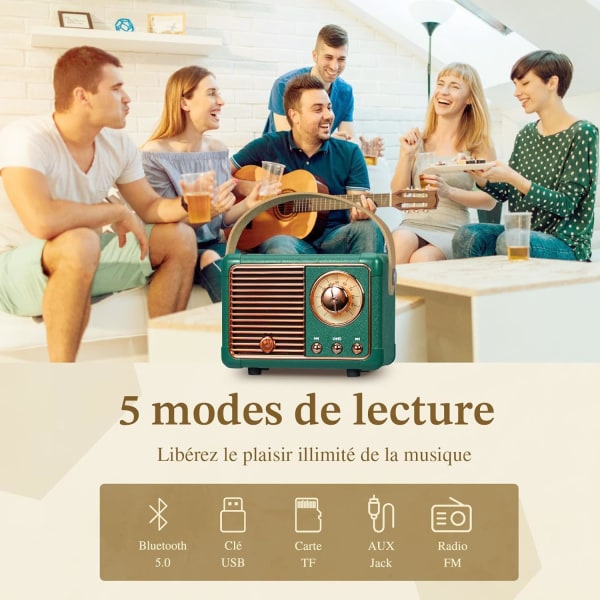 Bärbar retro Bluetooth-högtalare, FM-radiohögtalare, stödjer USB/TF-kort/AUX