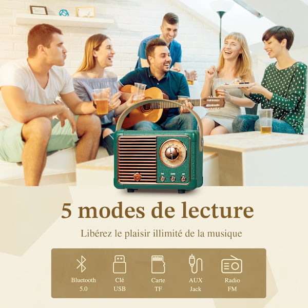 Bærbar retro Bluetooth-højttaler, FM-radiohøjttaler, understøtter USB/TF-kort/AUX