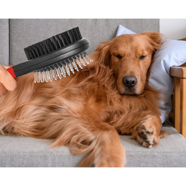 Hundborste för att sköta 2-kantsnålar och borst för att ta bort långa och korta hårstrån