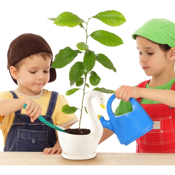Keramisk svanepotte, kaktus sukkulent blomsterpotter planter dekorasjon