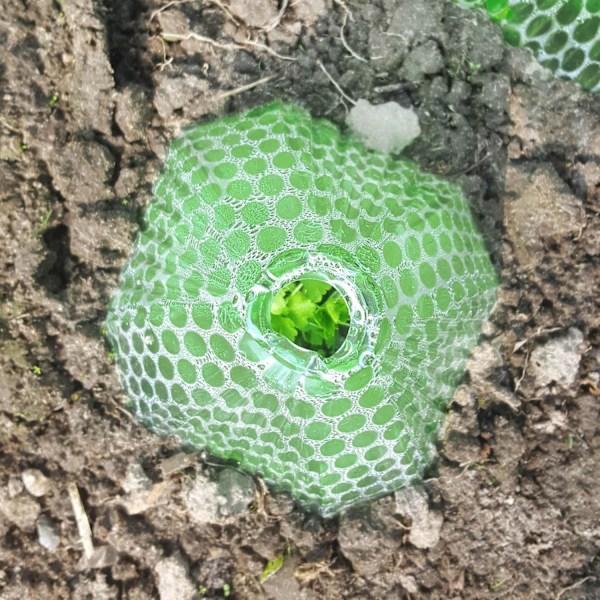 10 st Plant Solhatt - Skyddande Klocka för Växter som Växthjälpmedel - 10 stycken
