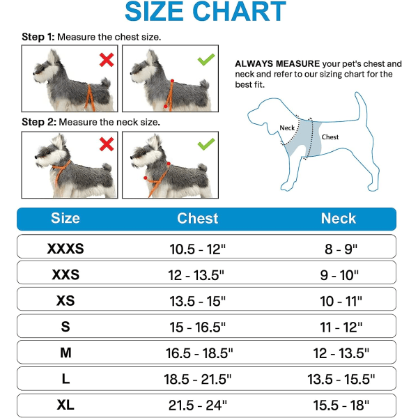 Hundsele, reflexvästsele för små medelstora hundar, M, blå