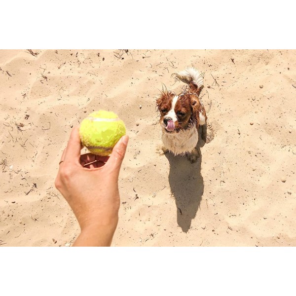 3-pack tennis cricket hundleksaksbollar - hundtennis är bra för aggressiva tuggare - hållbart och bra för sport, lektioner, träning och utskjutare