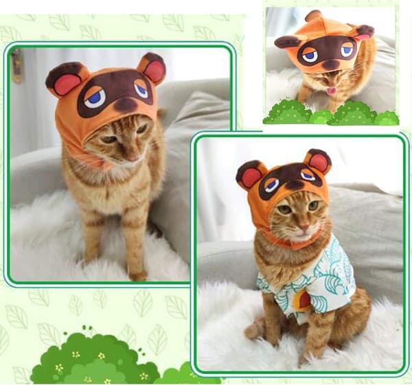Hatt, kattklädsel valphatt husdjur Halloween cosplay, medium storlek