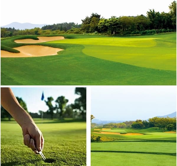 3 stk. rustfrit stål foldbart golf divot reparationsværktøj boldmarkør golf pitch gaffel putting golfspiller træningstilbehør