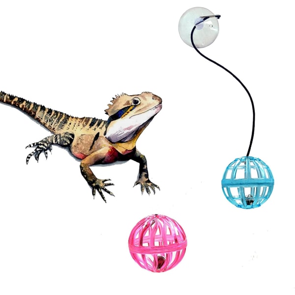 7-pack leksakskringla för skäggagam, reptilödla leksaksboll, slumpmässiga färger