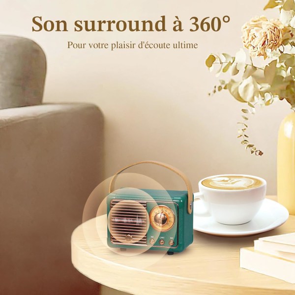 Bärbar retro Bluetooth-högtalare, FM-radiohögtalare, stödjer USB/TF-kort/AUX