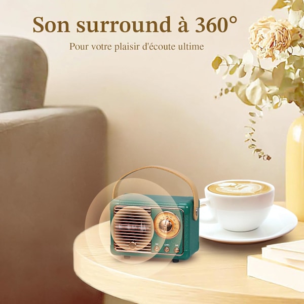 Retro-kannettava Bluetooth-kaiutin, FM-radiokaiutin, tukee USB/TF-korttia/AUX