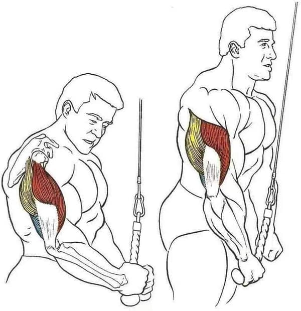 Pulldown-rep med enkelgrepp för triceps- och bicepsövningar, tillbehör till kabelmaskiner och gym