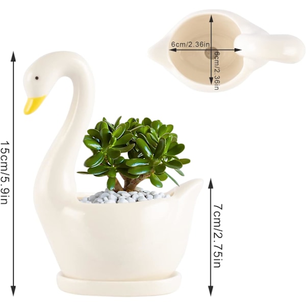 Keramisk svane blomsterpotte, kaktus sukkulent blomsterpotter planter dekoration