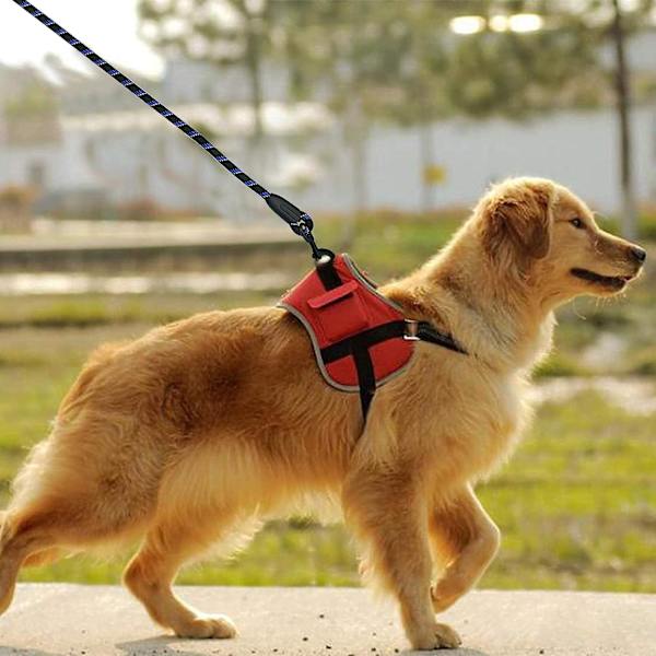 Hundehalsbånd med polstret håndtak og sklisikkert bånd for hundetrening Valp, små, mellomstore og store hunder for løping (svart)