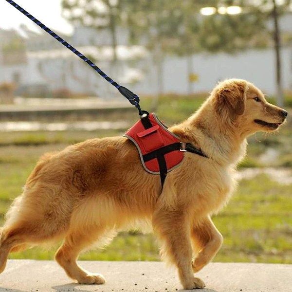 Hundkoppel med vadderat handtag och halkfritt koppel för hundträningsvalpar, små, medelstora och stora hundar för löpning (svart)