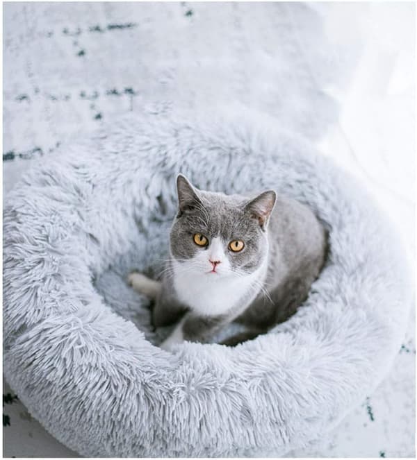 Mini Medium Sized Hund Katt Seng Selvoppvarming Høst Vinter Innendørs Snooze Sovende Koselig Kitty Teddy Kennel Light Grey 19.7”Dx7.9 H