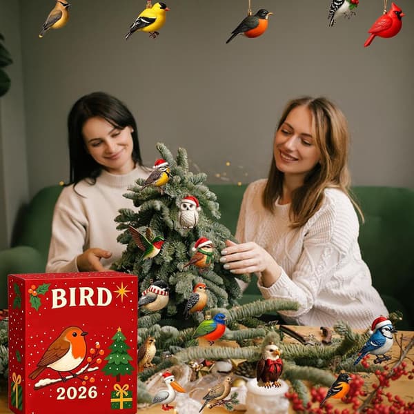 Fugle-adventskalendere 2026, 24 dager fugler juletrepyntsett, 2D