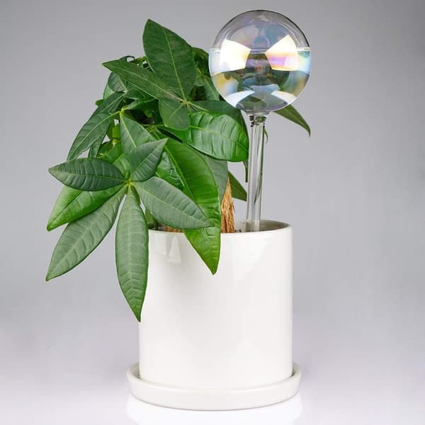 2 stk. iriserende regnbuegradientfarget klart glass selvvanningssystempigger, automatiske plantevanningskuler