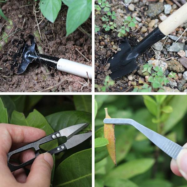 Verktøy for Bonsai, Bonsai-verktøy, Mini hageverktøy, Hageverktøysett, Mini håndverktøysett i tre