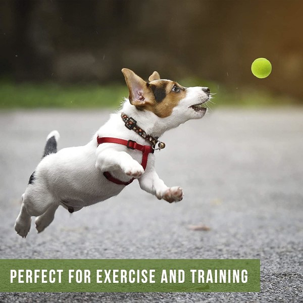 Paket med 6 tennisbollar, sportleksboll för hundleksak robust och hållbar, perfekt för lektioner, träning, kastmaskiner och lek med husdjur