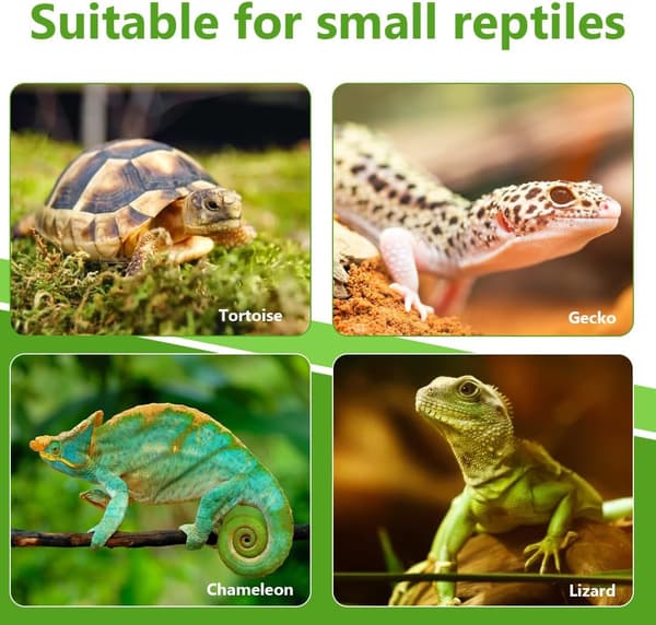 2 stk. Reptilfoderskål Skildpaddefoder, Blad Reptilskål Foder