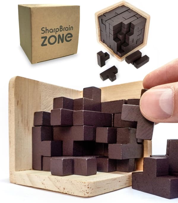 Originale 3D-hjernepuslespil i træ til voksne og børn, Genius Skills Builder T-formede brikker.