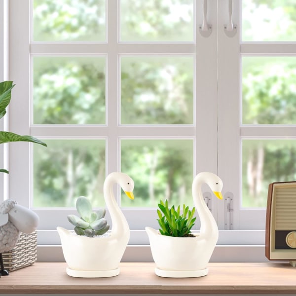 Keramisk svanepotte, kaktus sukkulent blomsterpotter planter dekorasjon